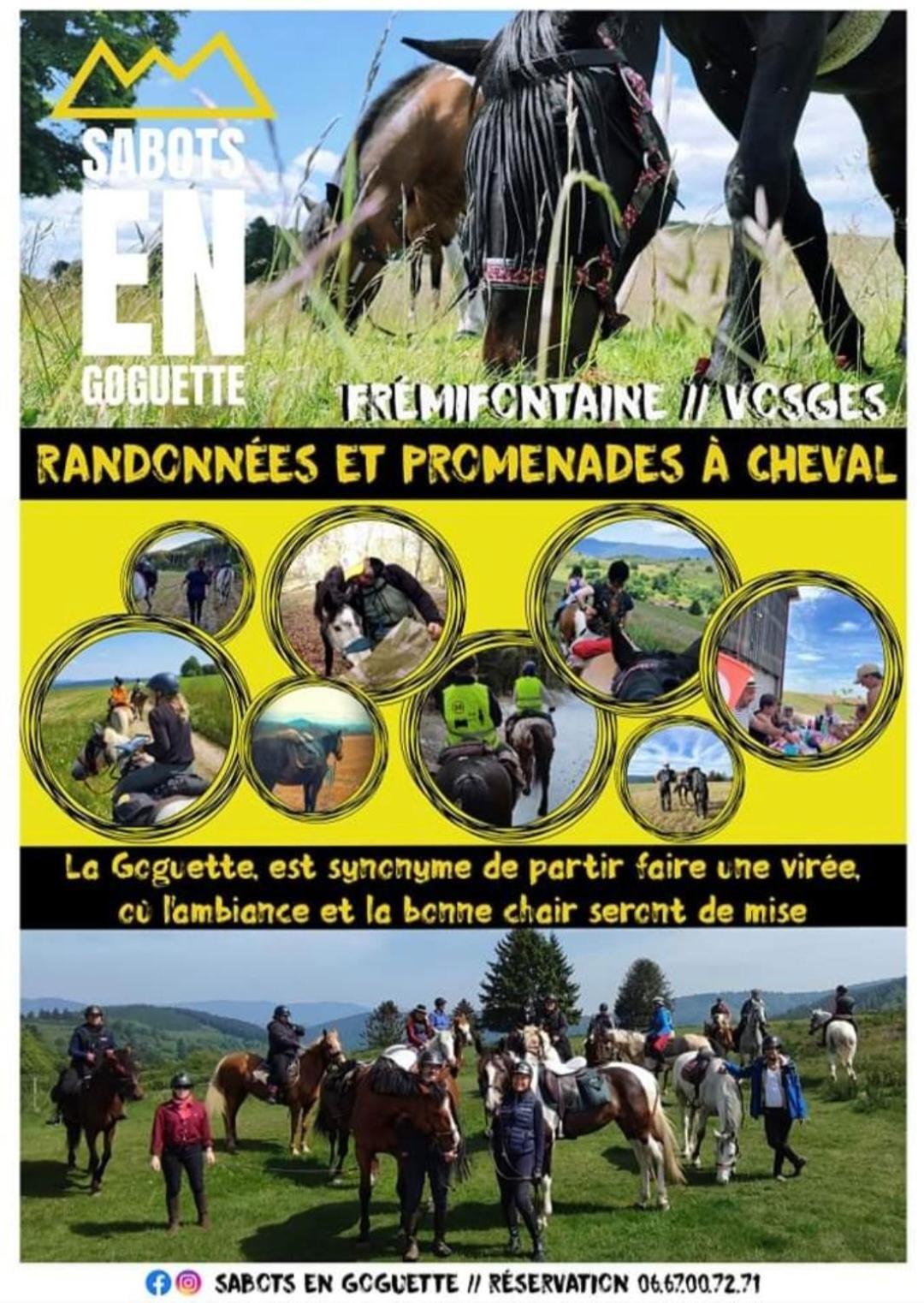 Les Vergers D'Epona "Fremifontaine Vosges" エクステリア 写真